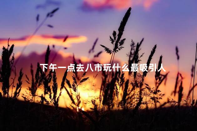 下午一点去八市玩什么最吸引人