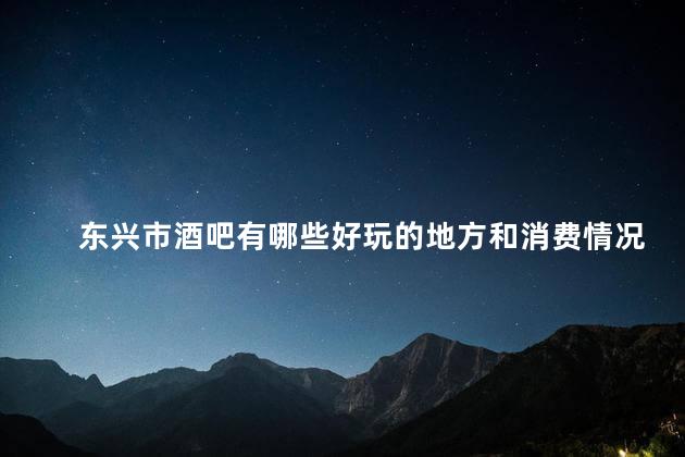 东兴市酒吧有哪些好玩的地方和消费情况如何