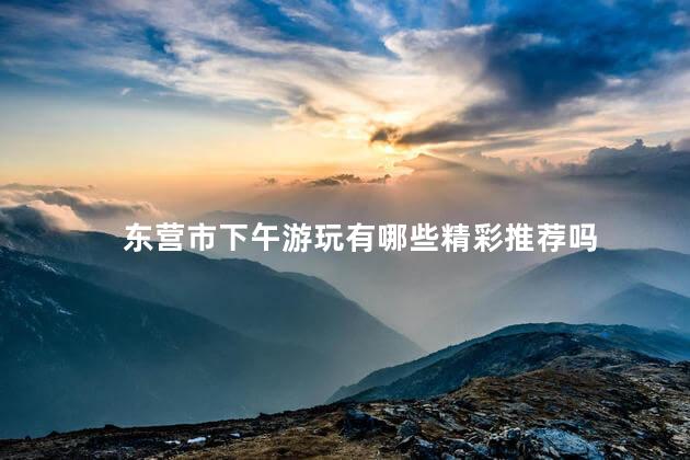 东营市下午游玩有哪些精彩推荐吗