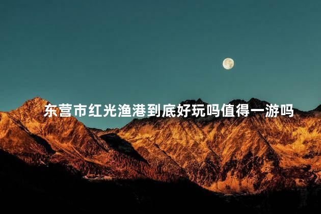 东营市红光渔港到底好玩吗值得一游吗