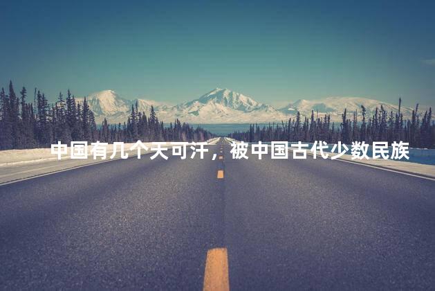 中国有几个天可汗，被中国古代少数民族尊称为天可汗的人是谁