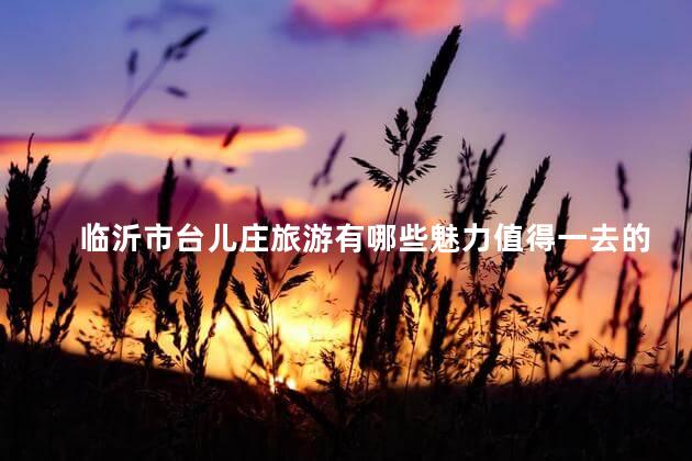 临沂市台儿庄旅游有哪些魅力值得一去的地方