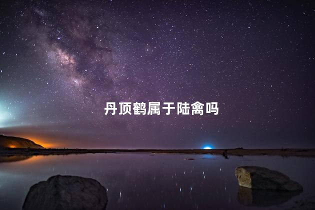 丹顶鹤属于陆禽吗