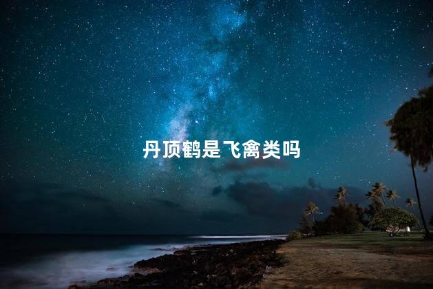 丹顶鹤是飞禽类吗
