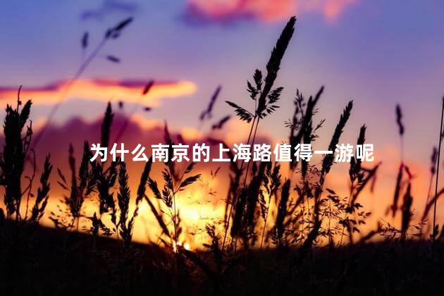 为什么南京的上海路值得一游呢