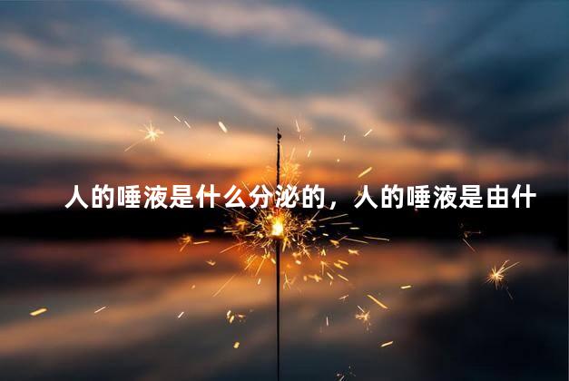 人的唾液是什么分泌的，人的唾液是由什么组成的