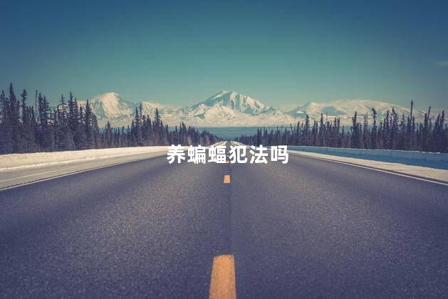 养蝙蝠犯法吗