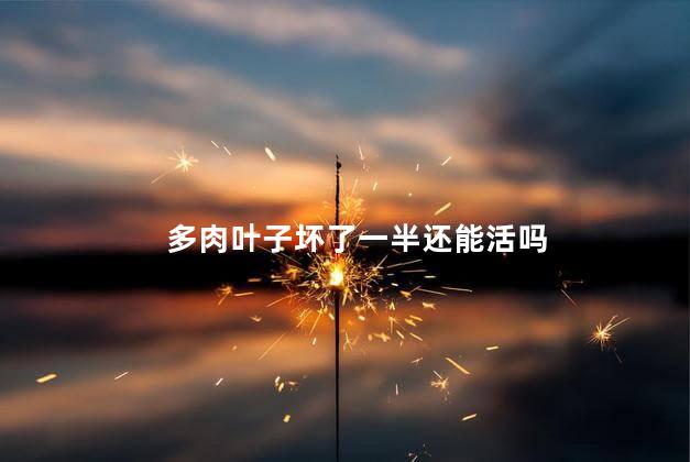多肉叶子坏了一半还能活吗