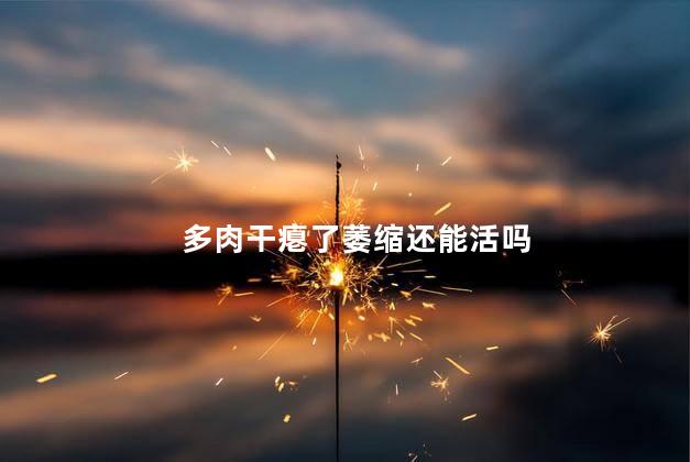多肉干瘪了萎缩还能活吗