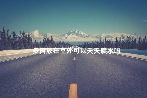 多肉放在室外可以天天喷水吗