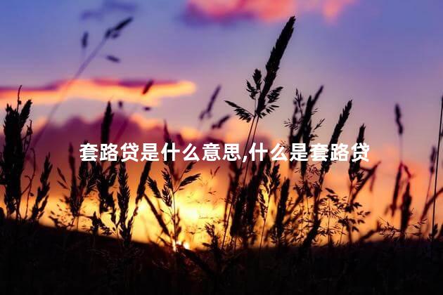 套路贷是什么意思,什么是套路贷