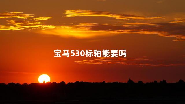宝马530标轴能要吗