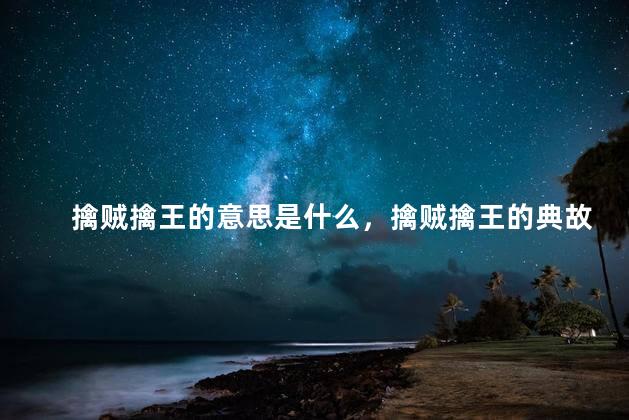 擒贼擒王的意思是什么，擒贼擒王的典故是什么