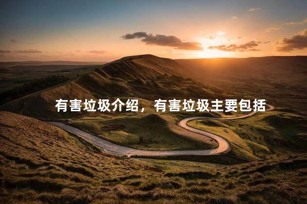 有害垃圾介绍，有害垃圾主要包括