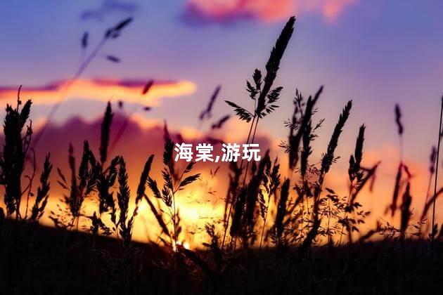 保定市海棠园夜晚游玩怎么样值得一去吗
