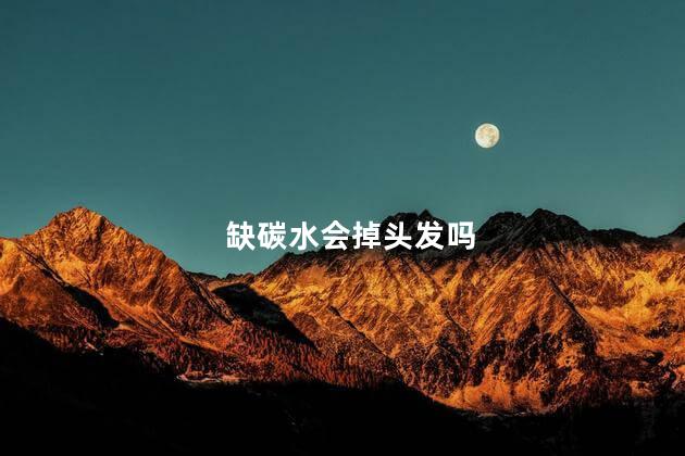 缺碳水会掉头发吗