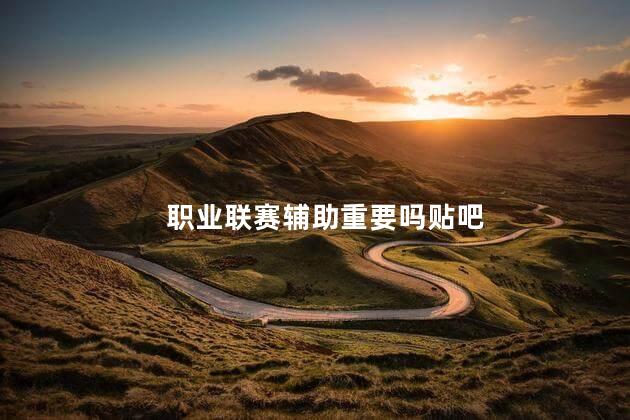 职业联赛辅助重要吗贴吧
