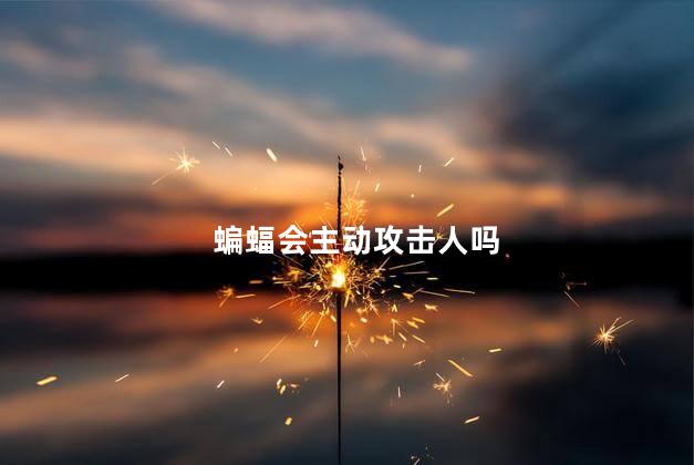 蝙蝠会主动攻击人吗