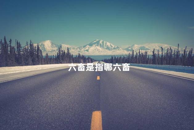 六畜是指哪六畜