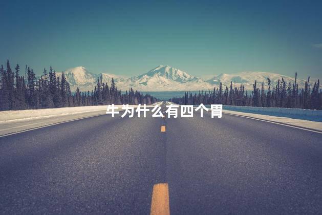 牛为什么有四个胃
