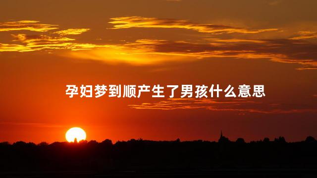 孕妇梦到顺产生了男孩什么意思