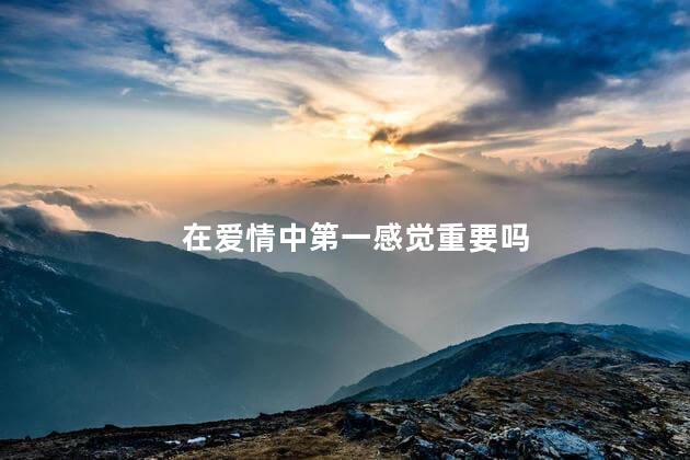 在爱情中第一感觉重要吗