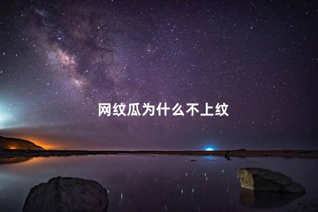 网纹瓜为什么不上纹