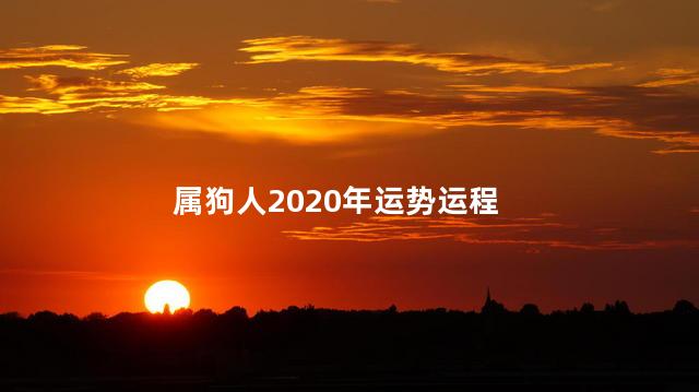 属狗人2020年运势运程