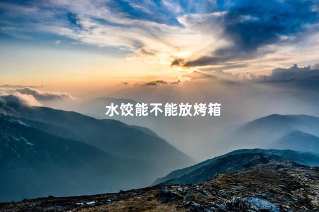 水饺能不能放烤箱