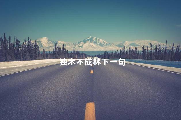 独木不成林下一句