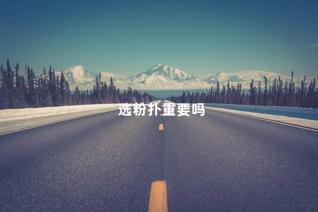 选粉扑重要吗