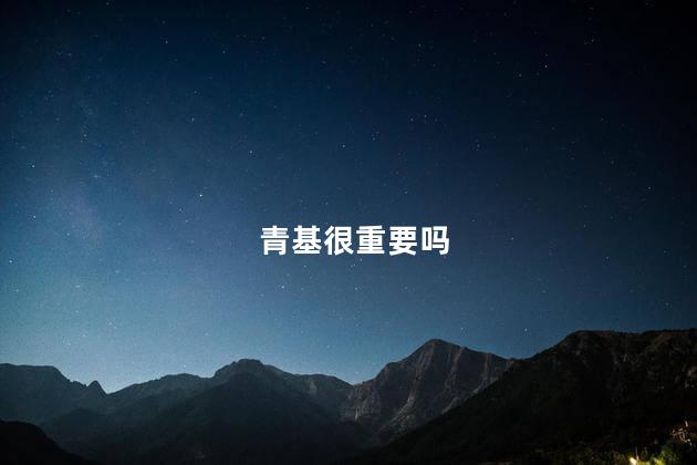 青基很重要吗
