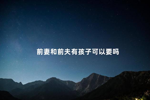 前妻和前夫有孩子可以要吗