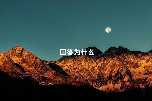 回答为什么