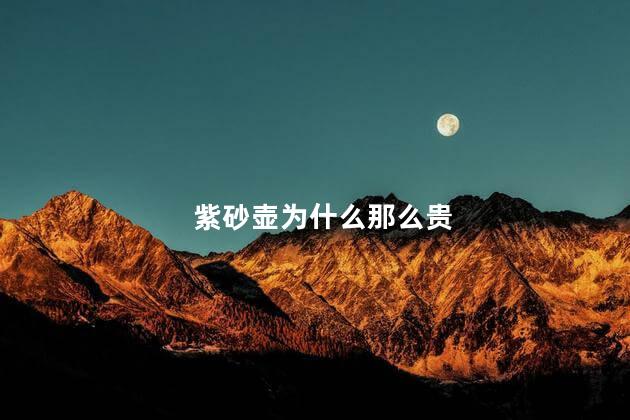 紫砂壶为什么那么贵