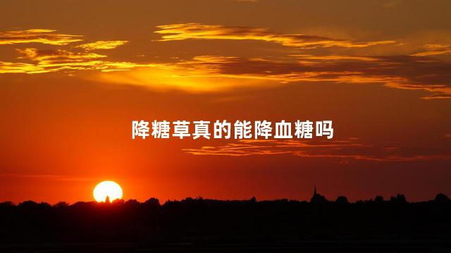降糖草真的能降血糖吗