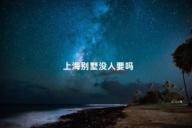 上海别墅没人要吗