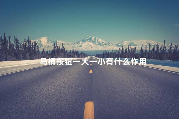 马桶按钮一大一小有什么作用