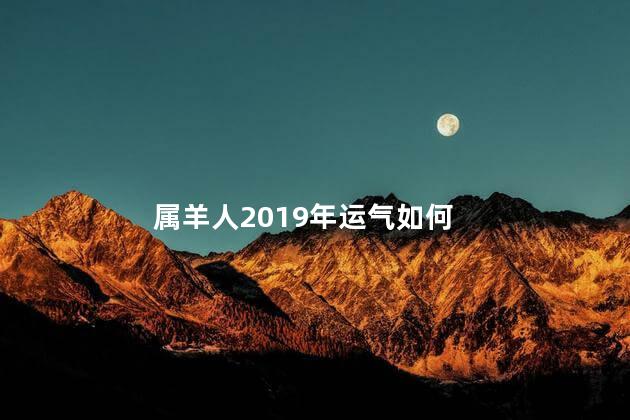 属羊人2019年运气如何