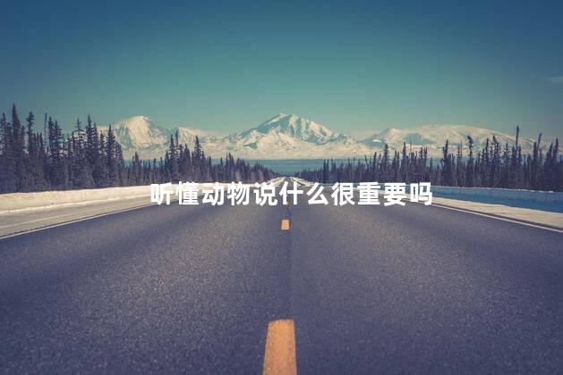 听懂动物说什么很重要吗