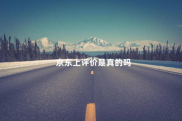 京东上评价是真的吗