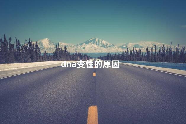 dna变性的原因