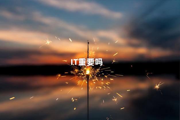 IT重要吗