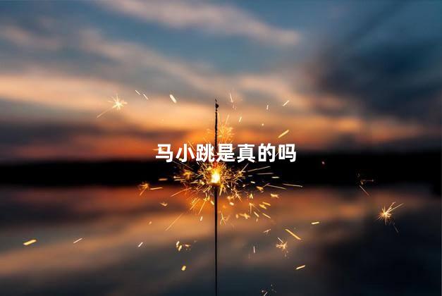 马小跳是真的吗