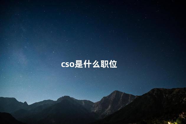 cso是什么职位